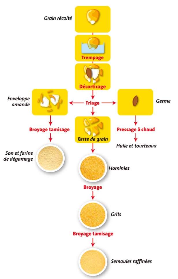 Différence entre farine et semoule de maïs - Châtelaine